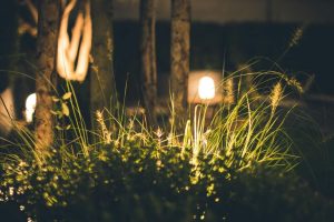 unnamed-2-1.jpg