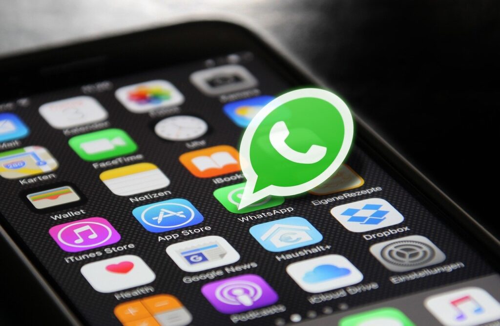 Ką reiškia vienas varnelė „WhatsApp“?