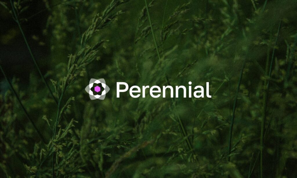 Perennial pristato naują amžinųjų ketinimų sluoksnį – sprendžia „DeFi“ suskaidyto